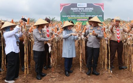 Panen Raya Jagung di Green Farm Banyuwangi,  Kapolda Jatim: Pentingnya Petani Muda untuk Ketahanan Pangan